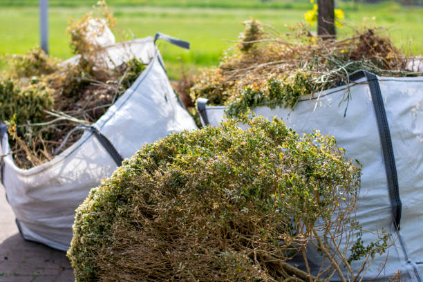 Best Yard Cleanup Services  in Rumson, NJ